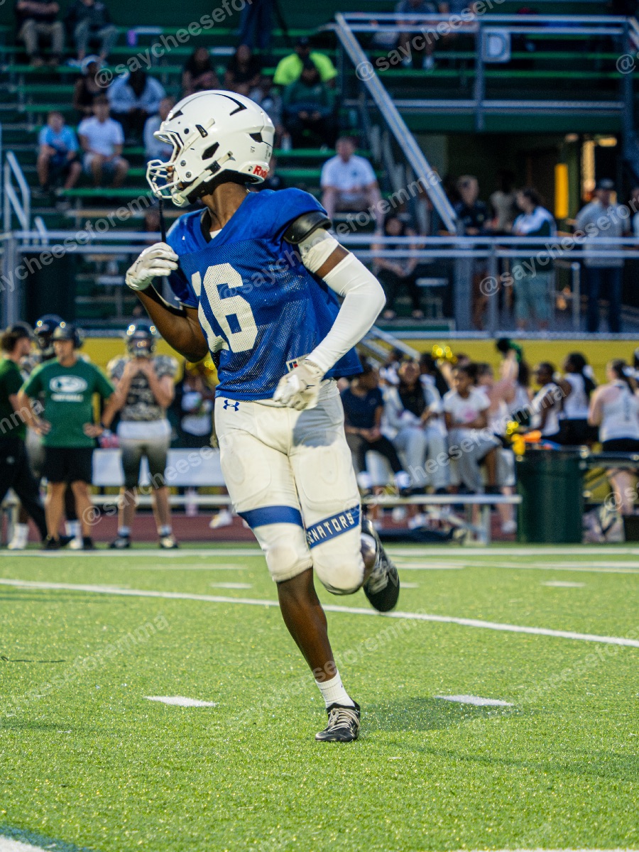 Photo 33 from Football Dover vs. Odessa Scrimmage