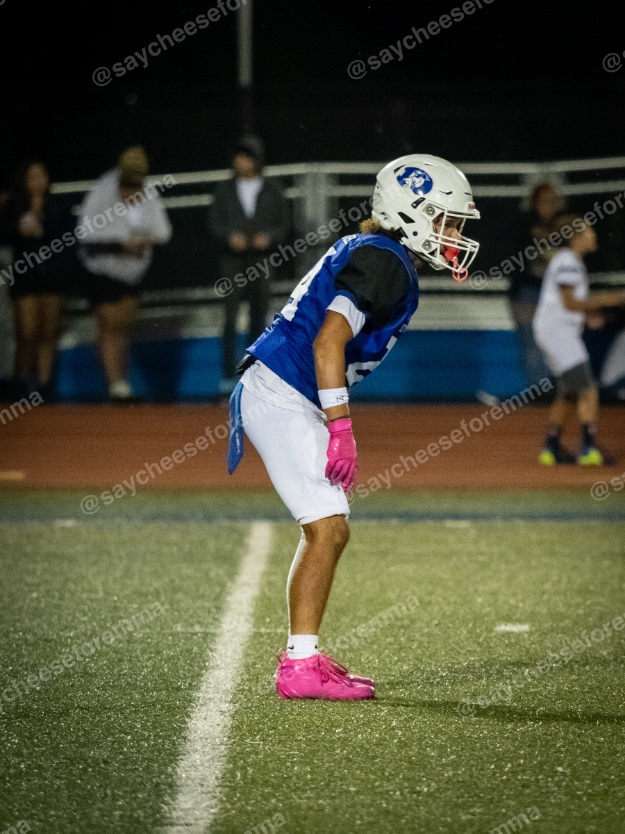 Photo 26 from Varsity football Dover vs. Lake Forest