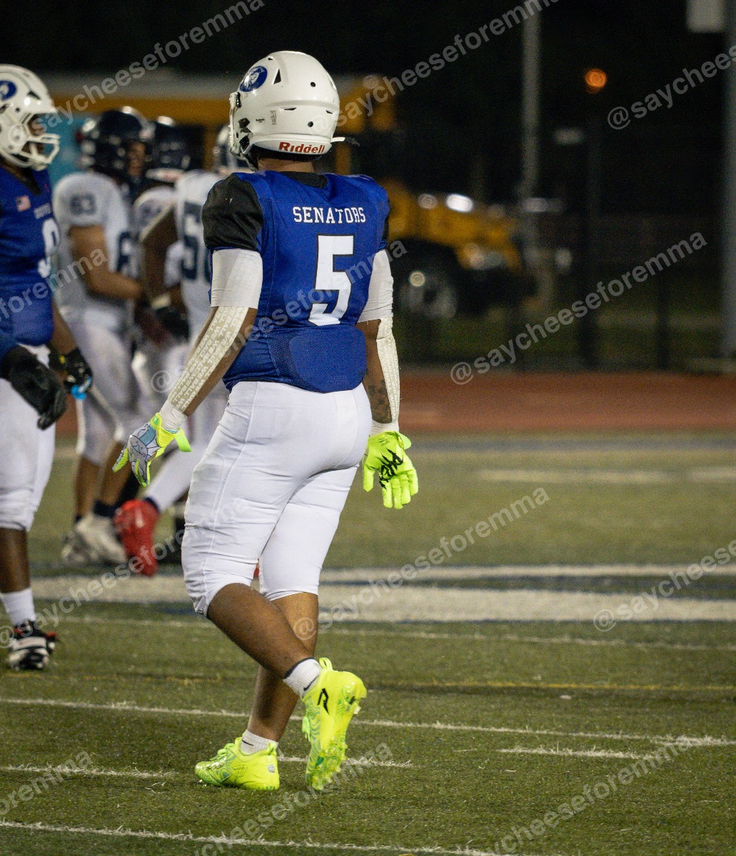 Photo 23 from Varsity football Dover vs. Lake Forest