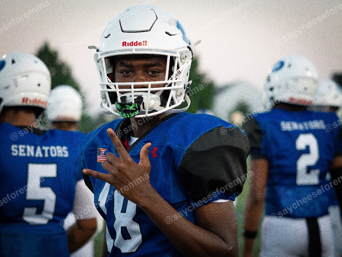 Photo 85 from Varsity football Dover vs. Lake Forest