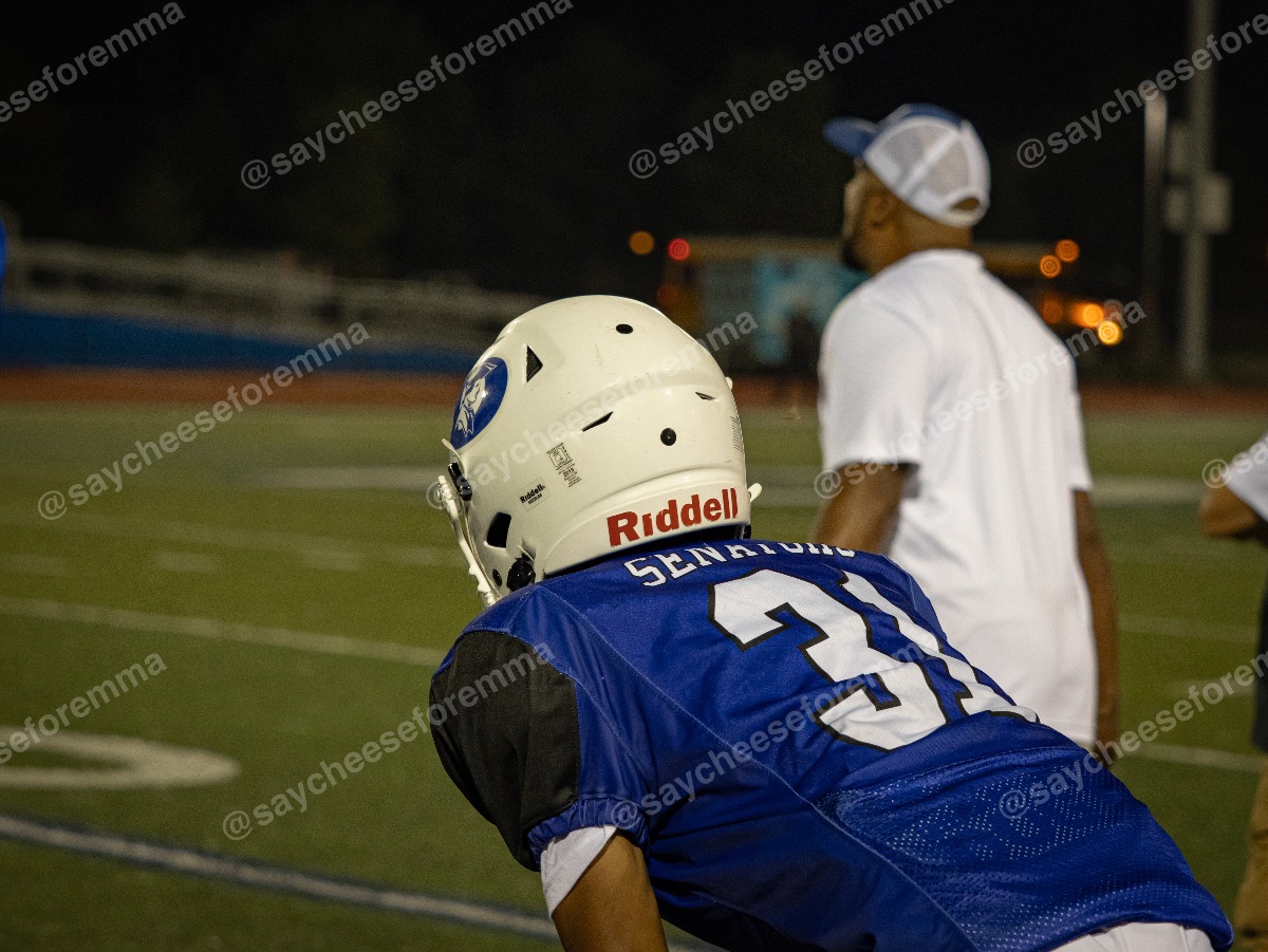 Photo 12 from Varsity football Dover vs. Lake Forest