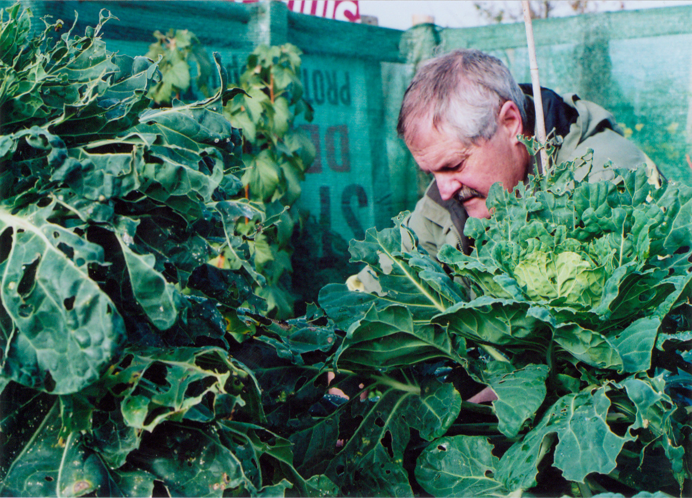 Allotments